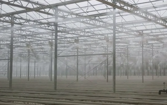 温室大棚全自动喷雾加湿降温，提高种植效率