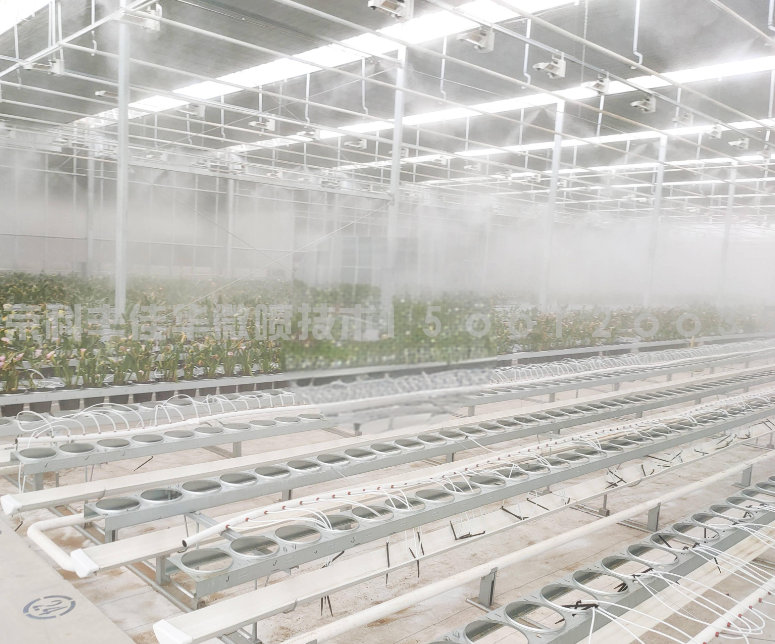 北京农科院温室大棚喷雾加湿降温系统