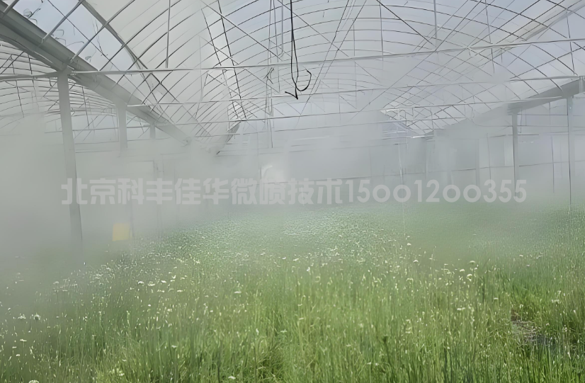 ​广东农业温室大棚喷雾降温系统方案