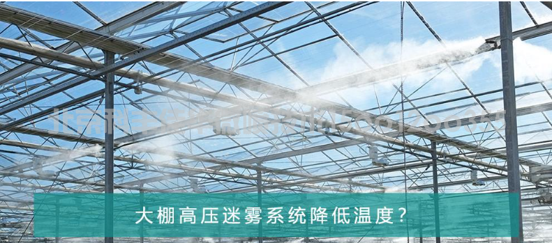 温室大棚高压迷雾系统 