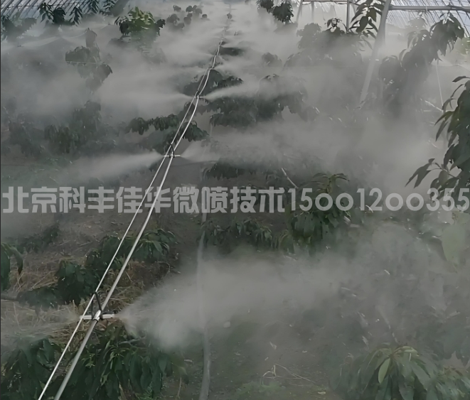 新疆乌鲁木齐温室大棚喷雾降温系统