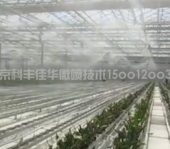 温室大棚装配超低量微喷雾加湿降温系统的优势