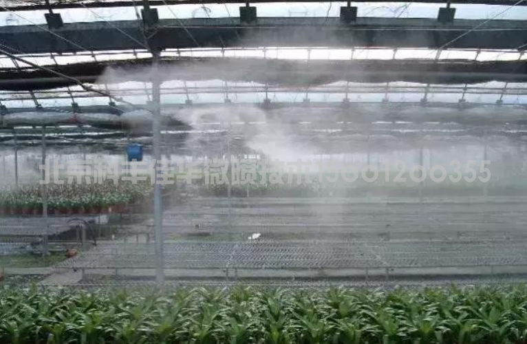 技术定义：什么是温室超低量微喷雾技术？